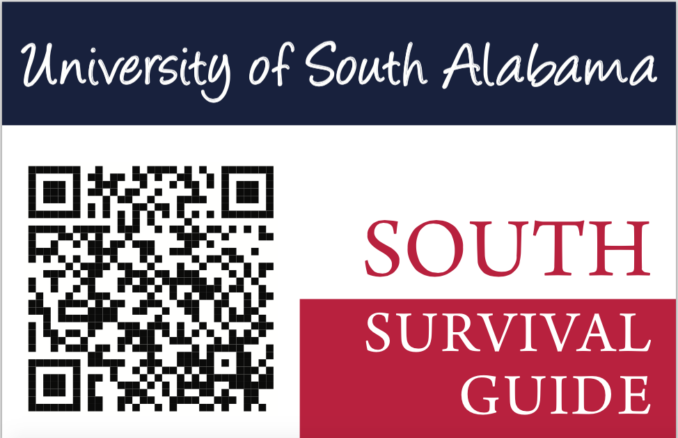 The South Survival Guide